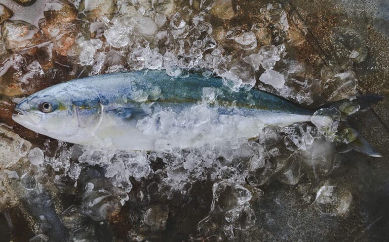 Title: Seafood Myth-Busting: Separating Fact from Fiction