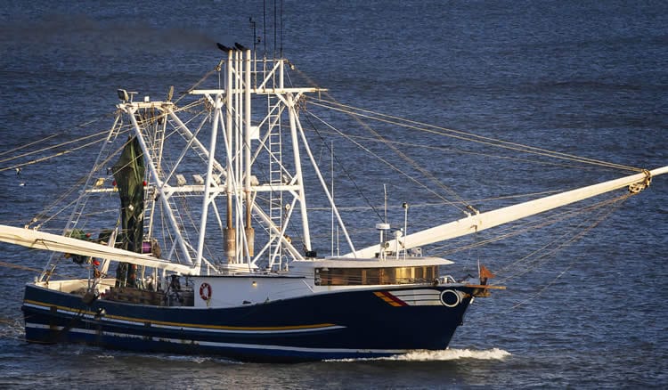 The Role of Technology in the Seafood Industry: Innovations and Advancements