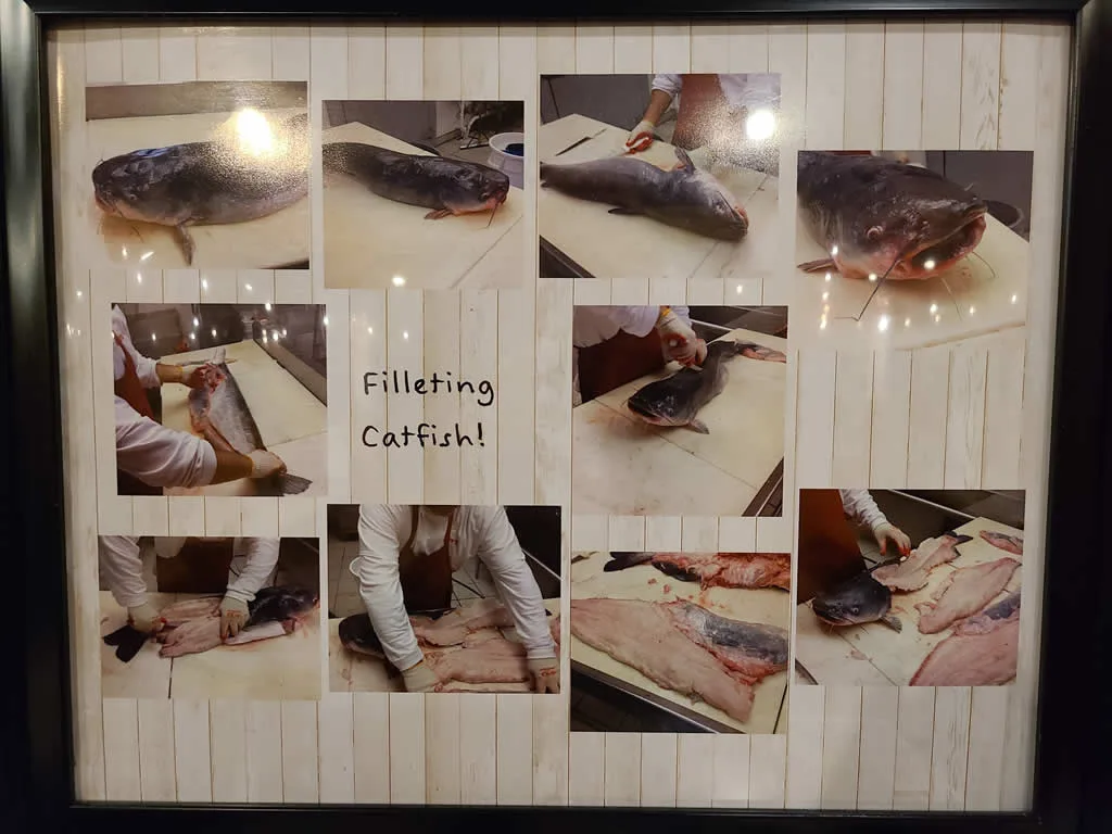 Collage of catfish being filleted on a table.