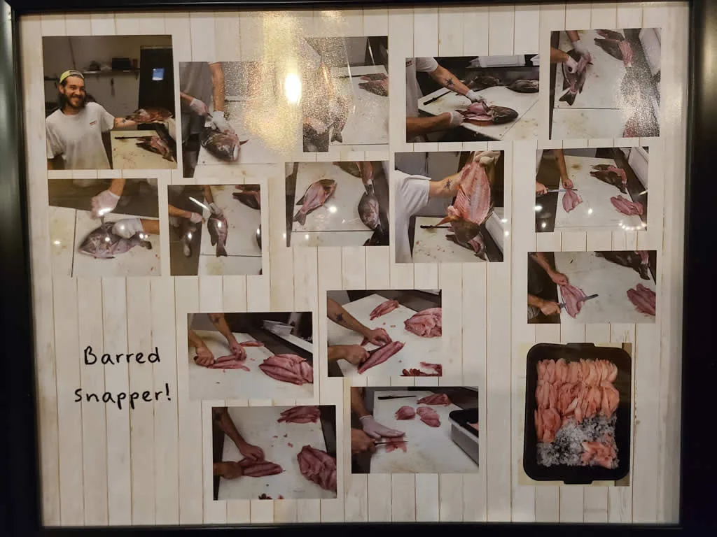 Collage of processing barred snapper fish.