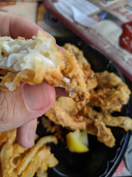 Close-up of crispy fried onions in hand