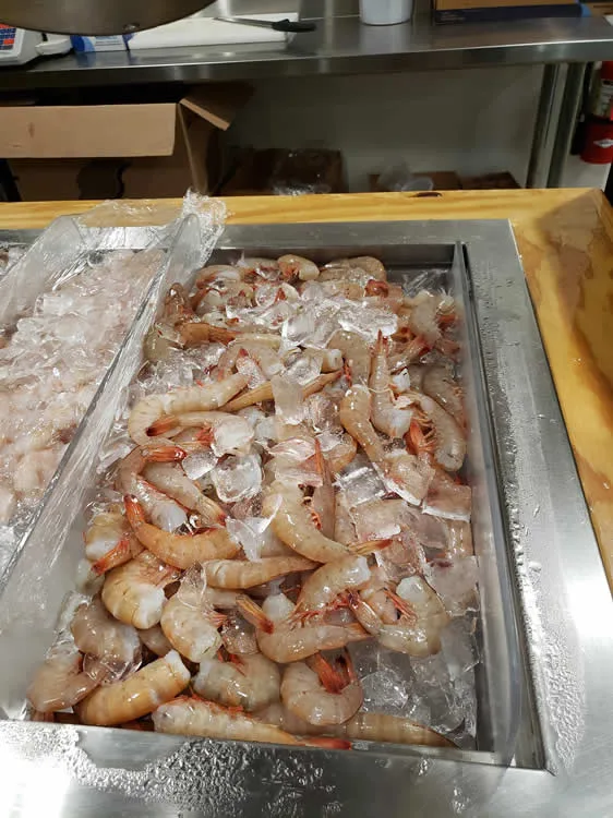Fresh shrimp on ice at seafood market