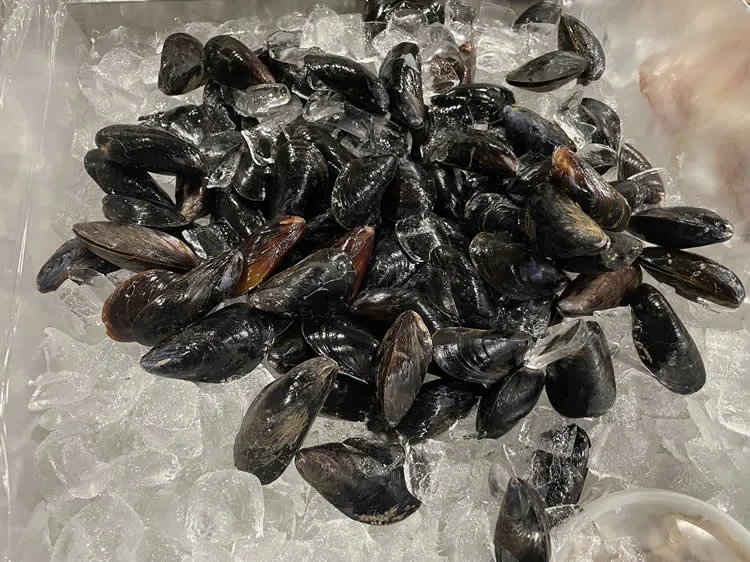 Fresh mussels on ice in seafood market.
